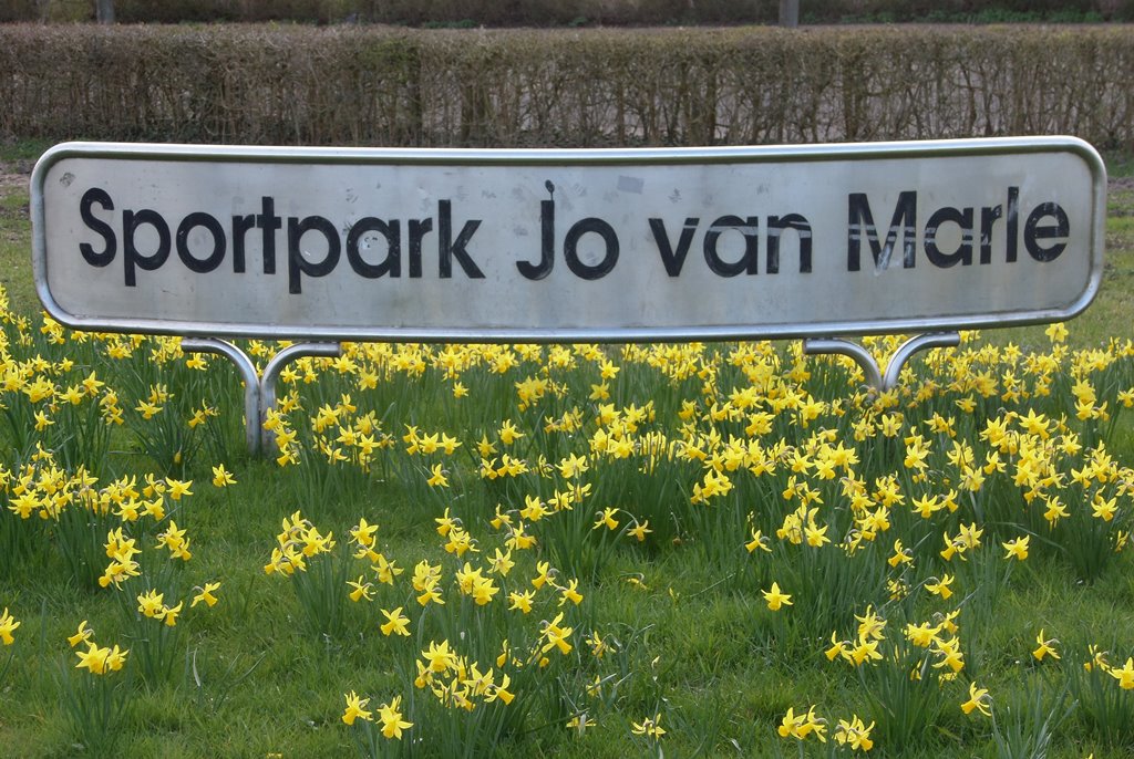 Vrouwen Jong Be Quick winnen van Jong Pec Zwolle