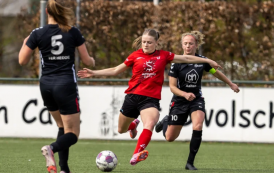 Interview Elien Schutte met De Swollenaer